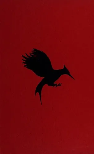 Catching Fire book cover